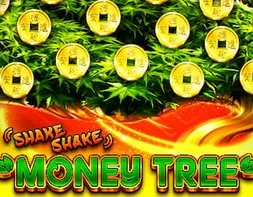 Shake Shake Money Tree — слот от RUBY PLAY